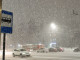 В Свердловской области порядка 50 млн рублей составил ущерб от снегопадов
